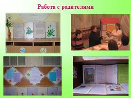 Создание условий в ДОУ для ознакомления с лекарственными растениями Урала, слайд 14