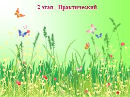 Создание условий в ДОУ для ознакомления с лекарственными растениями Урала, слайд 18