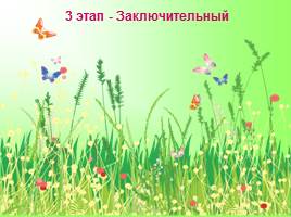 Создание условий в ДОУ для ознакомления с лекарственными растениями Урала, слайд 22