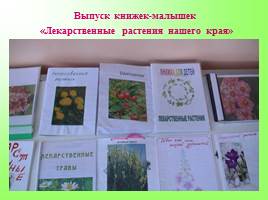 Создание условий в ДОУ для ознакомления с лекарственными растениями Урала, слайд 26