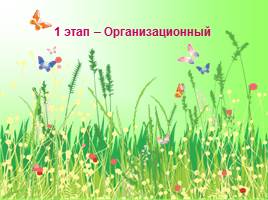 Создание условий в ДОУ для ознакомления с лекарственными растениями Урала, слайд 6