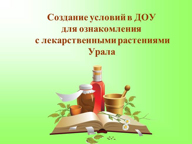 Презентация Создание условий в ДОУ для ознакомления с лекарственными растениями Урала