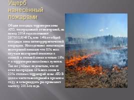 Экологические последствия войны на Донбассе, слайд 17