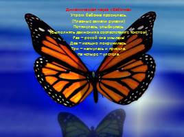 Бабочки - красавицы, слайд 12