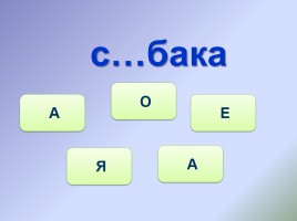 Тренажёр №5 3 класс «Словарные слова», слайд 15