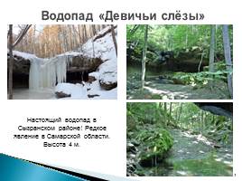 Природа родного края - Самарской области, слайд 11