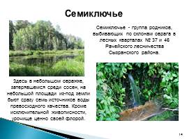 Природа родного края - Самарской области, слайд 14