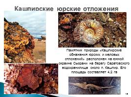 Природа родного края - Самарской области, слайд 15