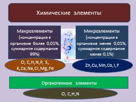 Химический состав клетки, слайд 3
