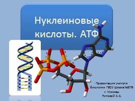 Нуклеиновые кислоты - АТФ, слайд 1