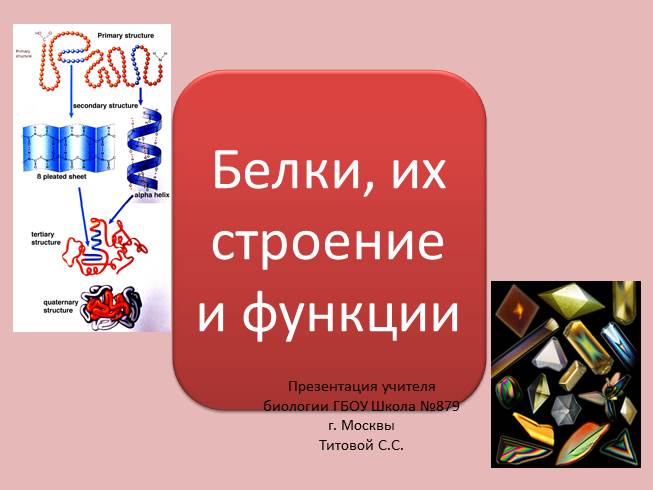 Презентация Белки, их строение и функции