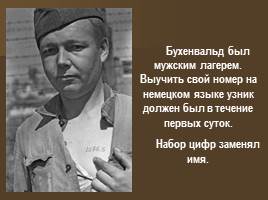 Концентрационные лагеря во время ВОВ, слайд 4