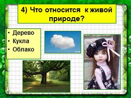 Живая и неживая природа, слайд 14