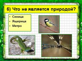 Живая и неживая природа, слайд 16