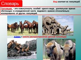 Классификация животных, слайд 15
