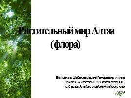 Презентация Растительный мир Алтайского края