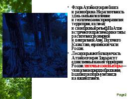 Растительный мир Алтайского края, слайд 2