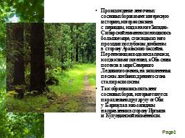 Растительный мир Алтайского края, слайд 3