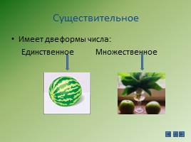 Критериальное оценивание на уроках русского языка в начальной школе, слайд 15