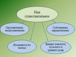 Критериальное оценивание на уроках русского языка в начальной школе, слайд 17
