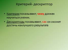 Критериальное оценивание на уроках русского языка в начальной школе, слайд 7