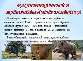 Удивительный мир природы Донбасса, слайд 10
