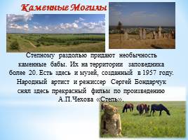 Удивительный мир природы Донбасса, слайд 12