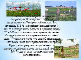 Удивительный мир природы Донбасса, слайд 13