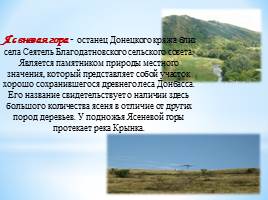 Удивительный мир природы Донбасса, слайд 5