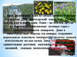 Удивительный мир природы Донбасса, слайд 9