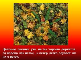Время года - Осень, слайд 10
