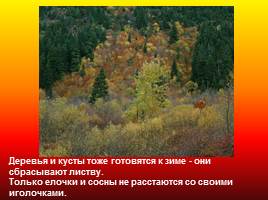 Время года - Осень, слайд 8