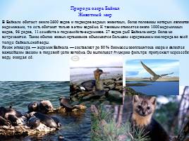 Пути к устойчивому развитию жемчужины России – озера Байкал, слайд 13