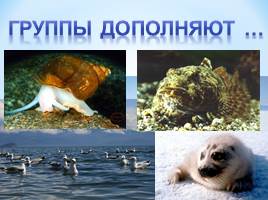 Пути к устойчивому развитию жемчужины России – озера Байкал, слайд 15