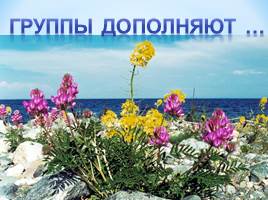 Пути к устойчивому развитию жемчужины России – озера Байкал, слайд 17