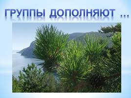 Пути к устойчивому развитию жемчужины России – озера Байкал, слайд 25