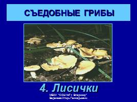 Съедобные и ядовитые грибы, слайд 6