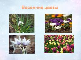 Урок по развитию речи «Весна», слайд 4