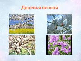 Урок по развитию речи «Весна», слайд 6