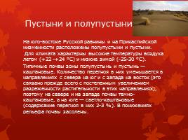 Природные зоны России 4 класс, слайд 6