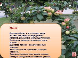 Стихи и загадки о яблоне и яблоках для детей, слайд 9