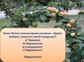 Викторина «Яблоки», слайд 23