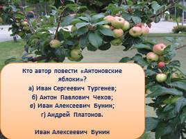 Викторина «Яблоки», слайд 28