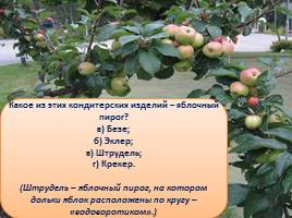 Викторина «Яблоки», слайд 29