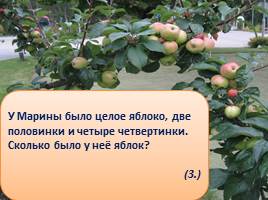 Викторина «Яблоки», слайд 7