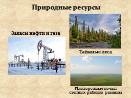 Природно-территориальные комплексы Западно-Сибирской равнины, слайд 13