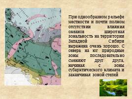 Природно-территориальные комплексы Западно-Сибирской равнины, слайд 3