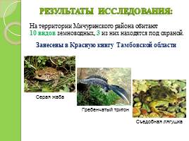 Информация о среде обитания амфибий, находящихся под охраной, слайд 6