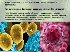 Бактерии: строение и жизнедеятельность, слайд 4