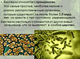 Бактерии: строение и жизнедеятельность, слайд 5